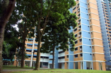 Blk 174 Lompang Road (Bukit Panjang), HDB 4 Rooms #218692